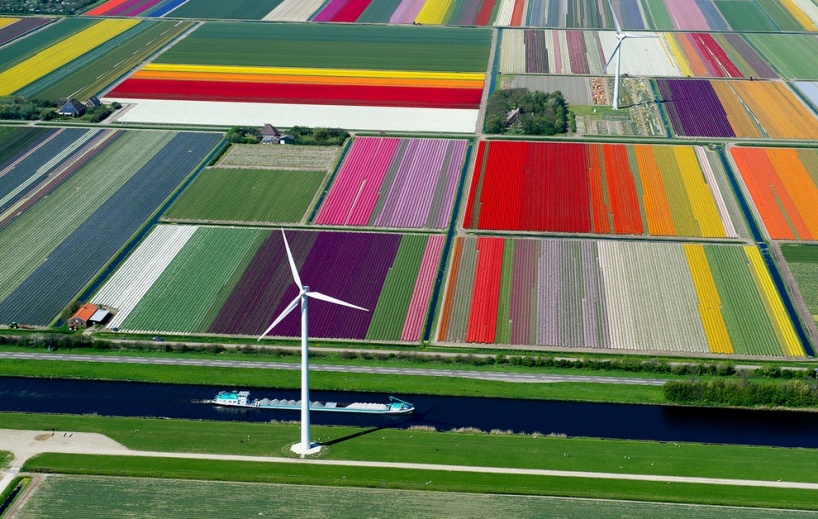 Территориальное устройство Нидерландов – красота цветочных полей