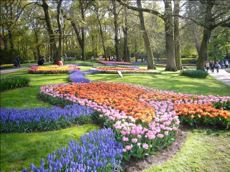 Настоящий цветник самых красивых городов Голландии