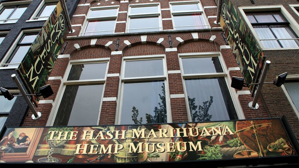 Музей марихуаны в Голландии – уникально и интересно
