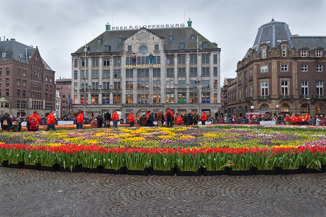 Амстердам во время празднования Дня тюльпанов